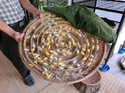 luangprabang (160)